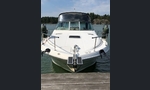 Sea Ray 310 Sundancer-kuva-20